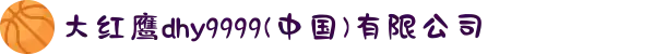 大红鹰dhy9999(中国)有限公司